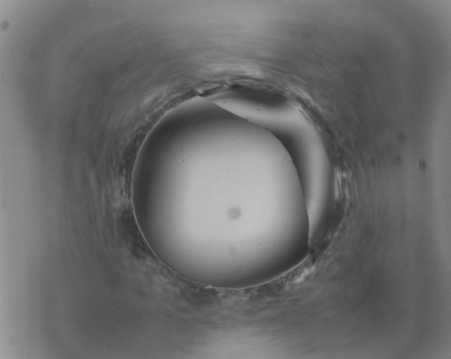 X0000074330965200609082028