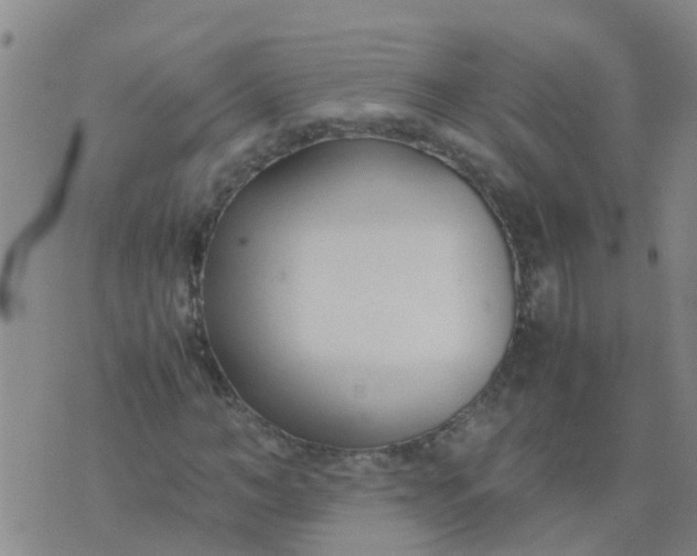 X0000074330966200609082028