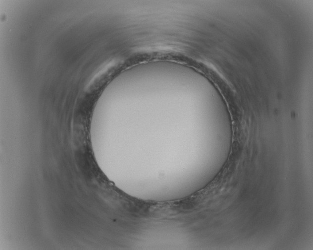 X0000074330967200609082028