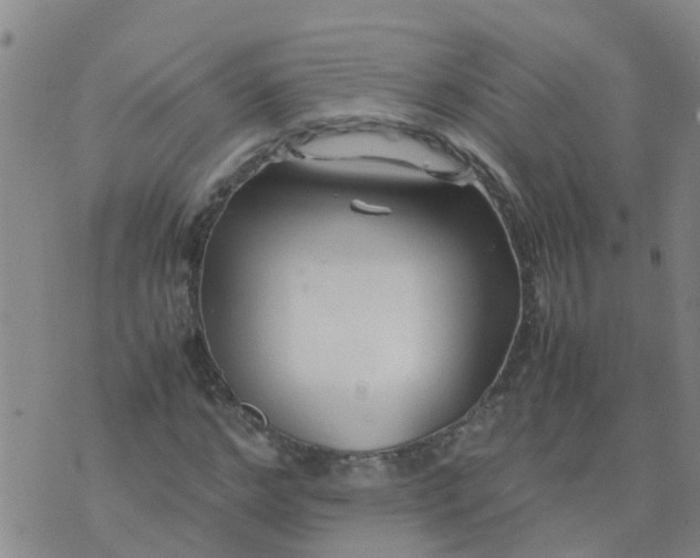 X0000074330968200609082028