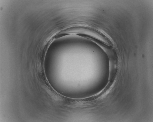 X0000074330969200609082028