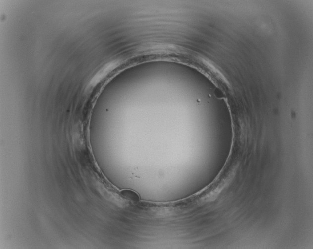 X0000074330970200609082028