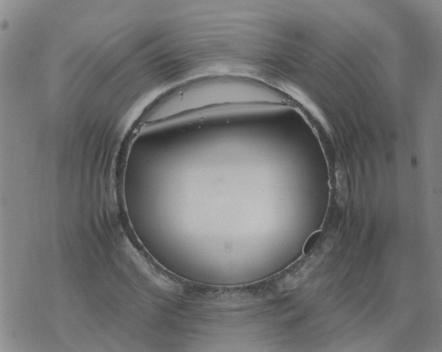 X0000074330972200609082028