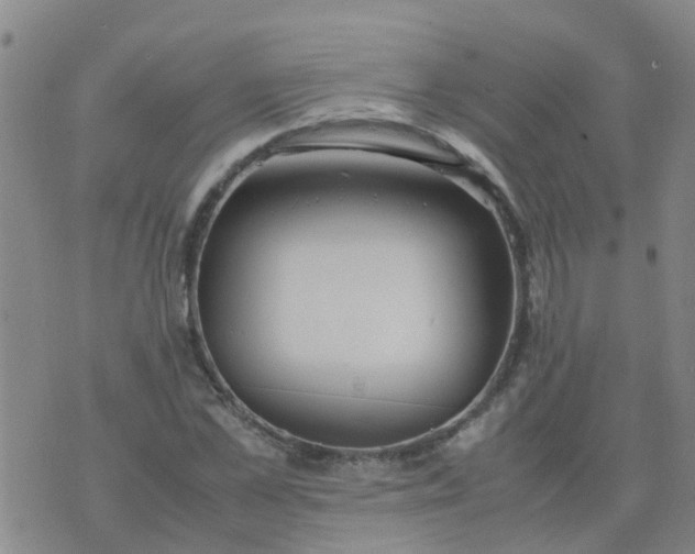 X0000074330973200609082028