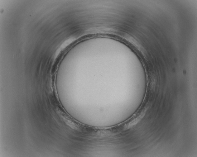 X0000074330974200609082028