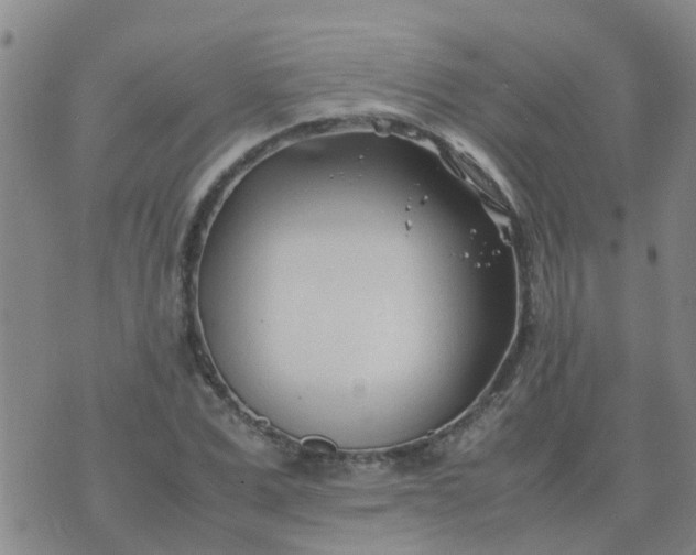 X0000074330975200609082028