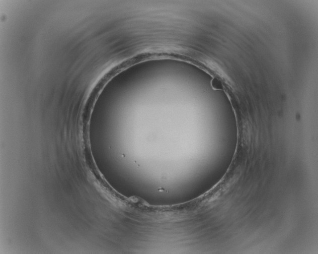 X0000074330976200609082028