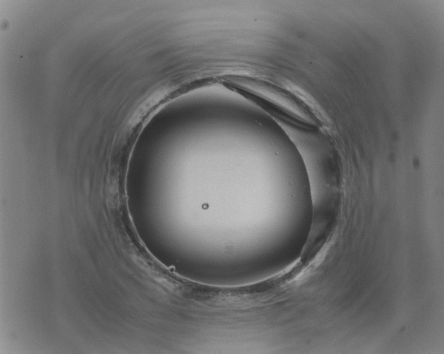 X0000074330977200609082028