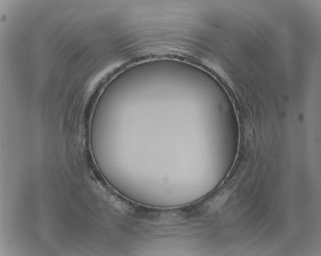 X0000074330979200609082028