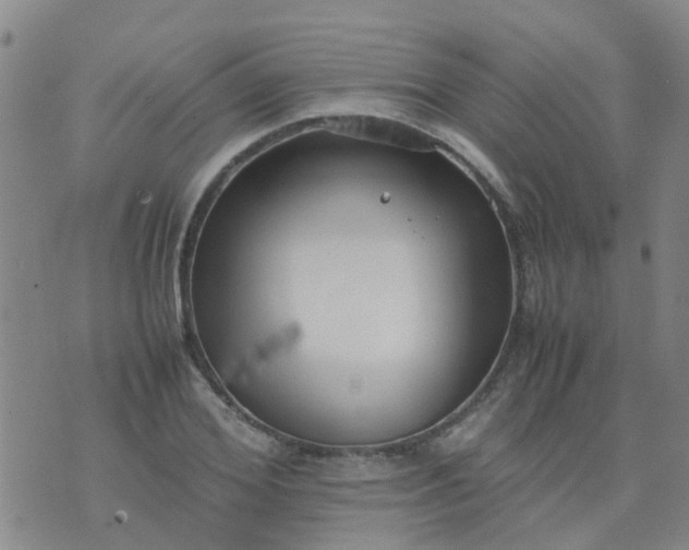 X0000074330980200609082028