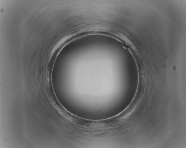 X0000074330981200609082028