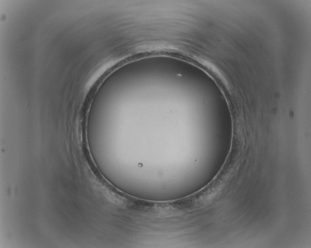 X0000074330983200609082028