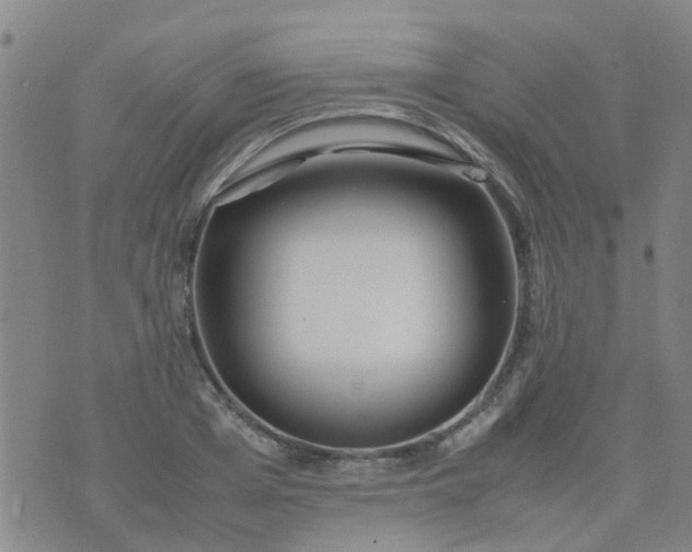 X0000074330985200609082028