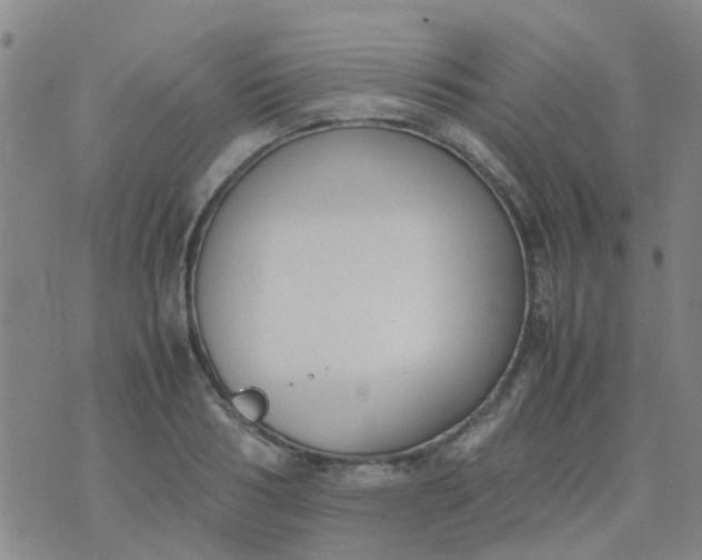 X0000074330986200609082028