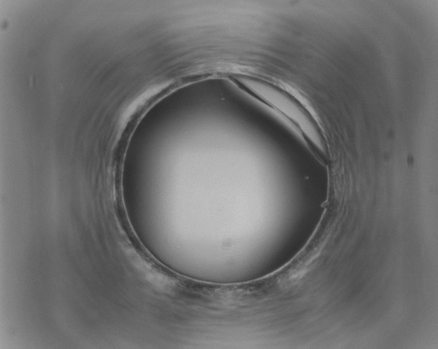 X0000074330987200609082028