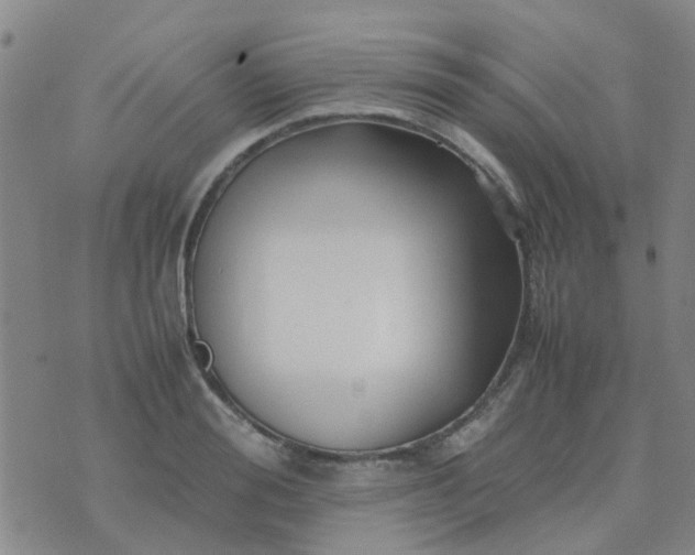 X0000074330988200609082028