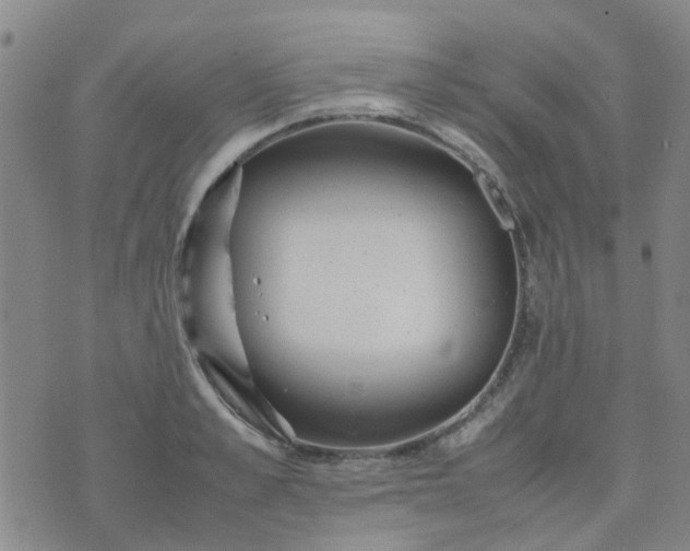 X0000074330989200609082028