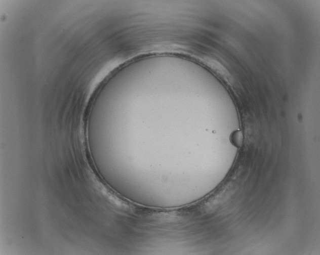 X0000074330990200609082028