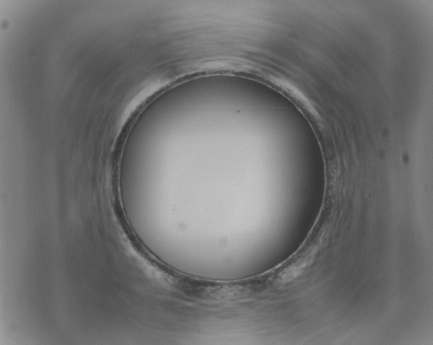 X0000074330991200609082028