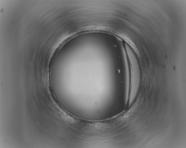 X0000074330992200609082028