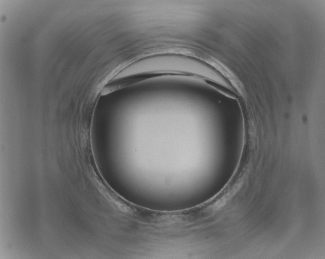 X0000074330993200609082028