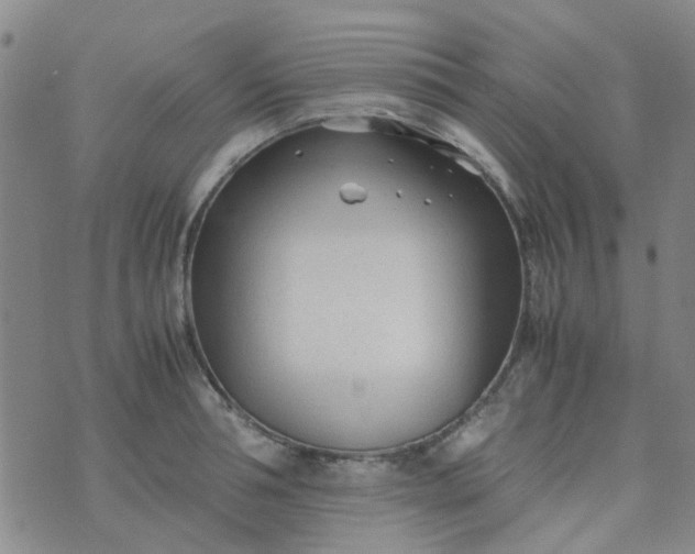 X0000074330994200609082028