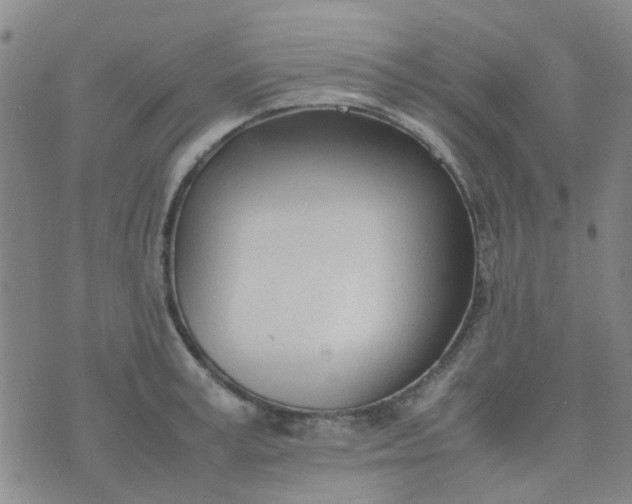 X0000074330995200609082027