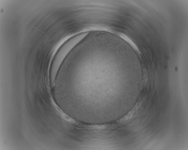 X0000074330996200609082027