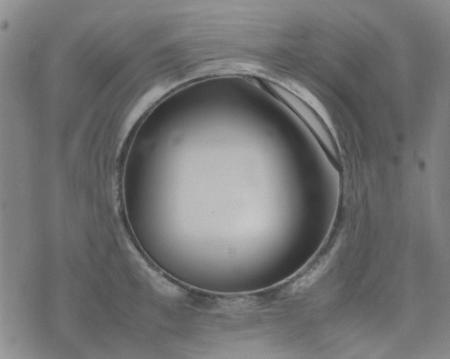 X0000074330997200609082027