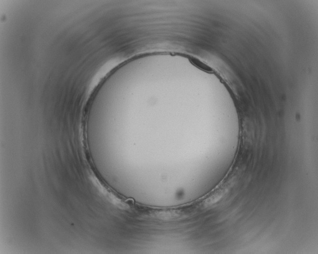 X0000074330998200609082027