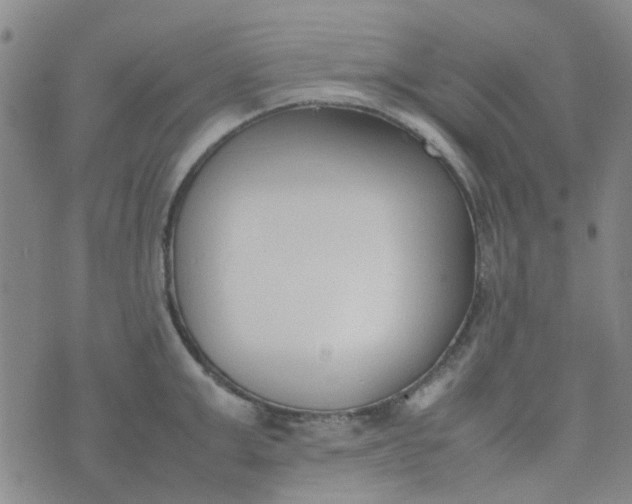 X0000074330999200609082027