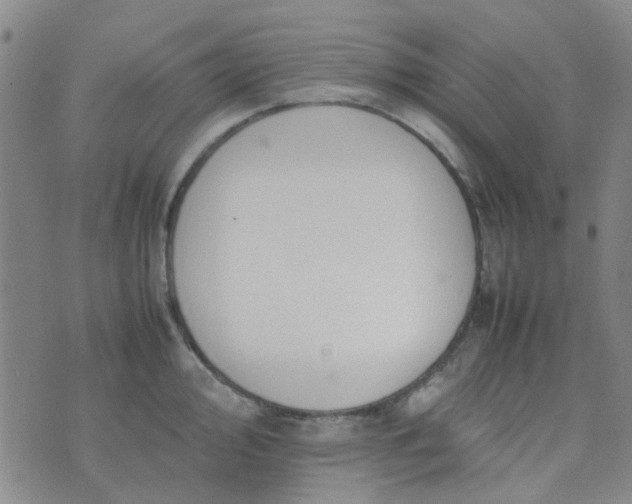 X0000074331000200609082027