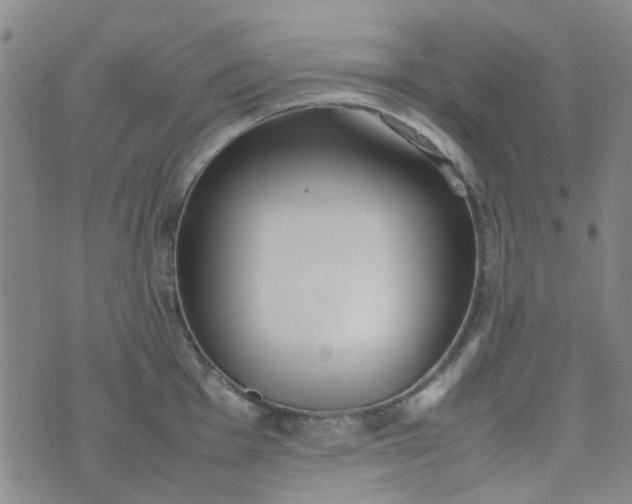 X0000074331001200609082027