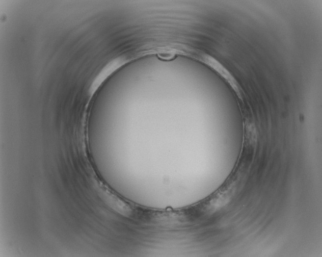 X0000074331002200609082027