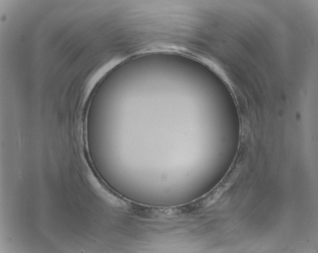 X0000074331003200609082027