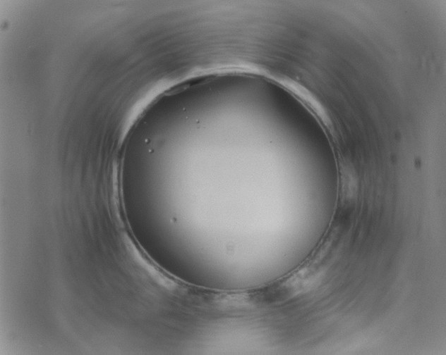 X0000074331006200609082027