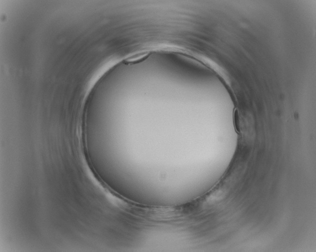 X0000074331007200609082027