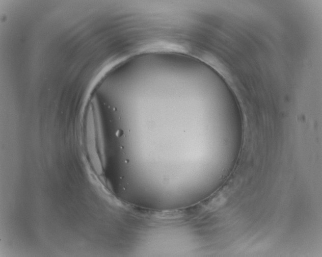 X0000074331008200609082027