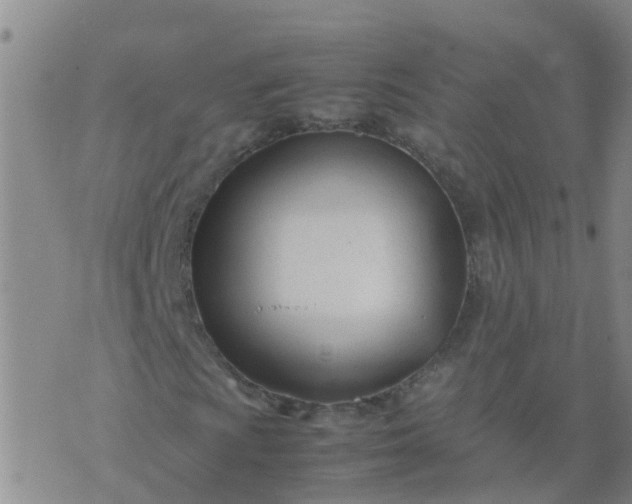 X0000074331009200609082027