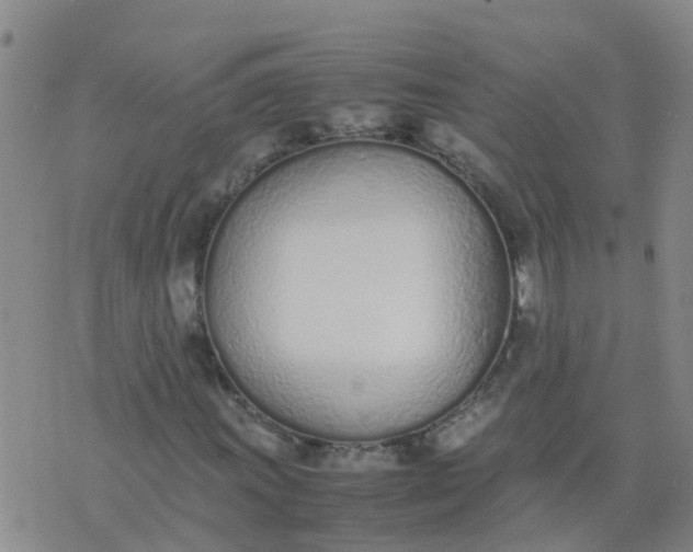 X0000074331011200609082027