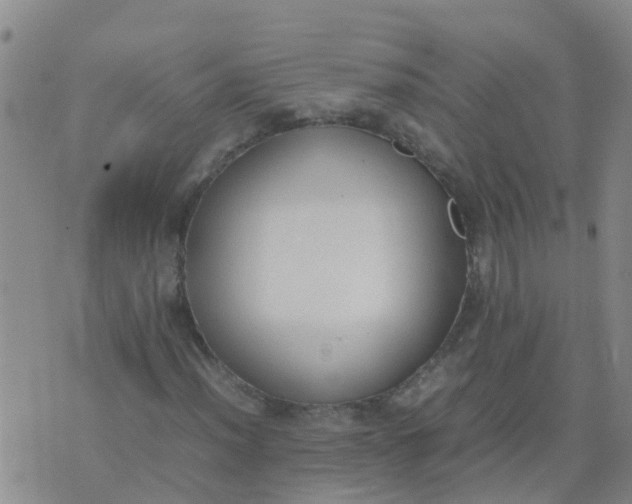 X0000074331012200609082027