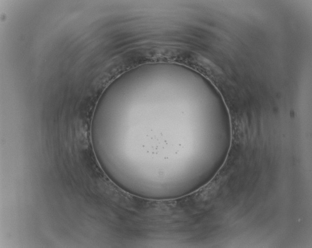 X0000074331013200609082027