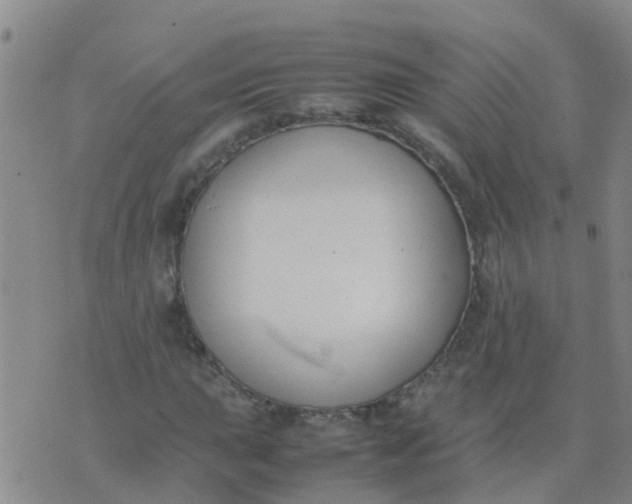 X0000074331015200609082027