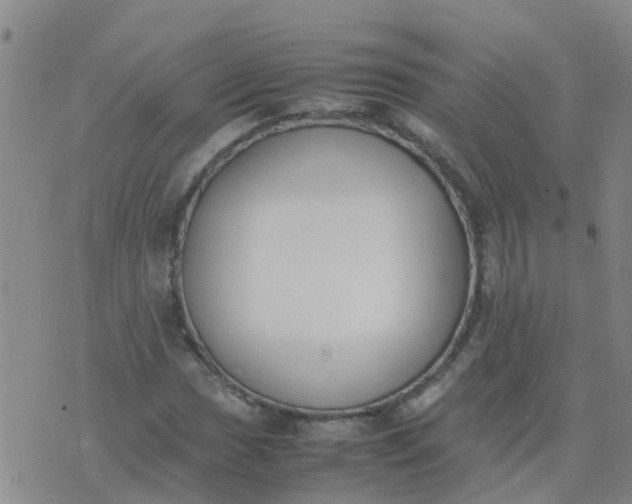 X0000074331017200609082027