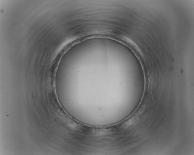 X0000074331019200609082027