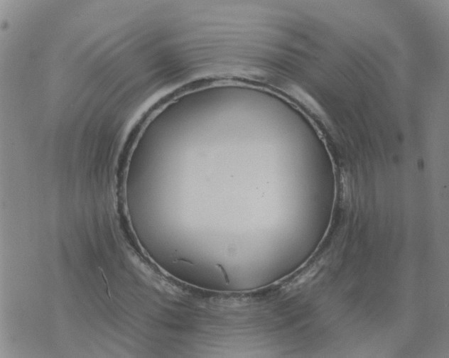 X0000074331020200609082027