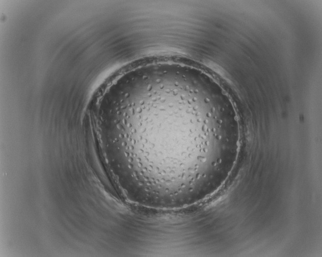 X0000074331022200609082027