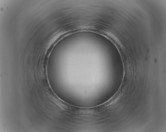 X0000074331023200609082027