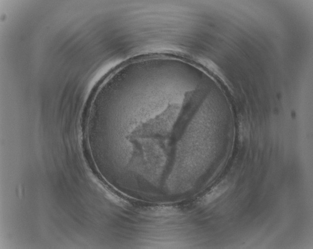 X0000074331024200609082027