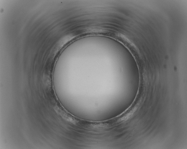 X0000074331025200609082027